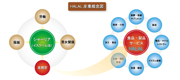 HALAL酸業概念図