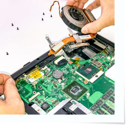 R2�F�؎x���R���T���̃C���[�W